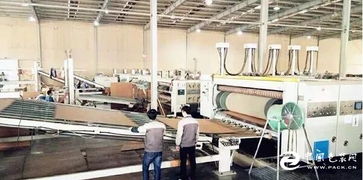 江蘇一紙箱廠銷售額將達(dá)3.5億,產(chǎn)值猛增30