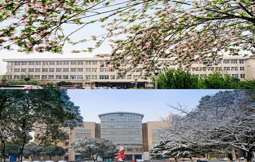 江蘇科技大學專接本最全解答