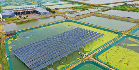 鏡頭丨科技賦能鄉村振興