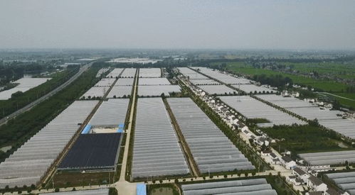 給力 這家機構獲省級表彰