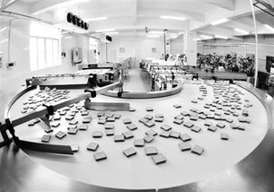 南陽日報多媒體數字報刊平臺,南陽日報多媒體數字報刊平臺,南陽,南陽日報,南陽網,南陽社區