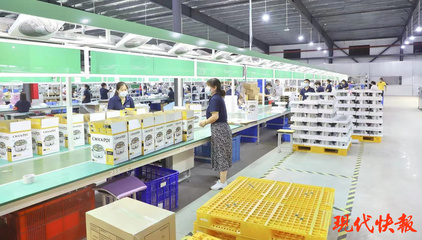 濱海:在產業攀高的賽道上奮力奔跑