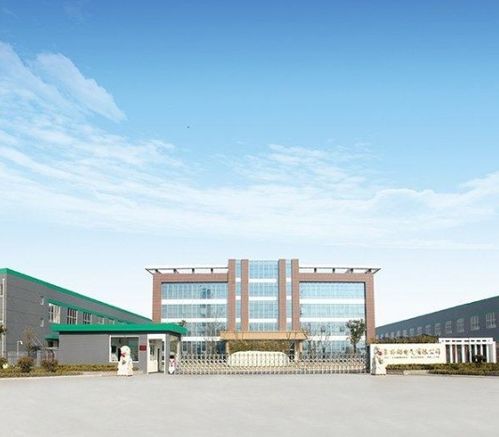 江蘇揚電科技 上游依賴與資產縮水下的困境