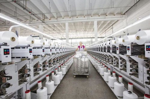 從“織造”“制造”到“智造” 射陽擘畫“經(jīng)緯天下”的江蘇科技新藍(lán)圖